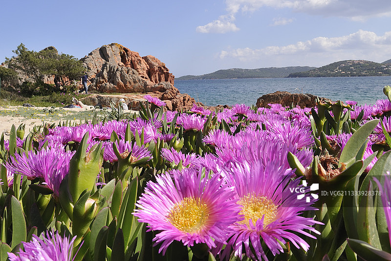 位置：靠近韦基奥港图片素材