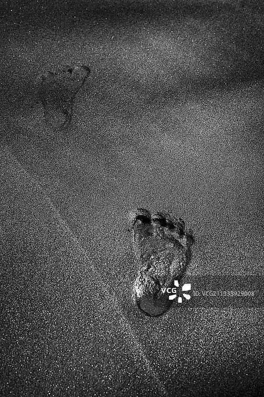 马提尼克岛的anse Couleuvre海滩图片素材