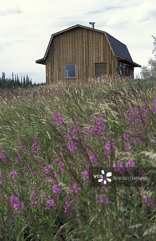 加拿大麦肯齐河畔的现代狩猎小屋图片素材