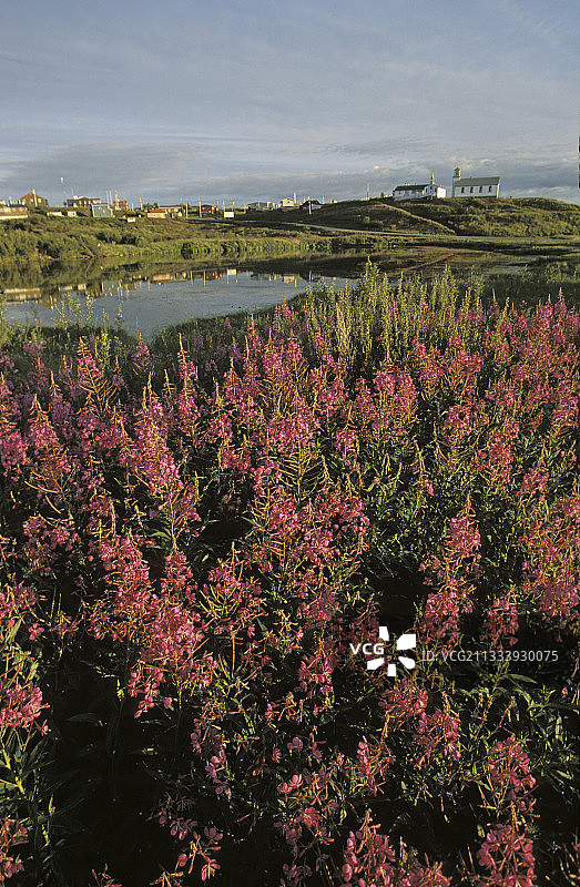 位置：马更些河与北极红河交汇处图片素材