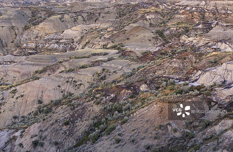 加拿大艾伯塔省恐龙省立公园荒地图片素材