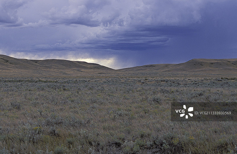 加拿大萨斯喀彻温省风暴草原国家公园图片素材