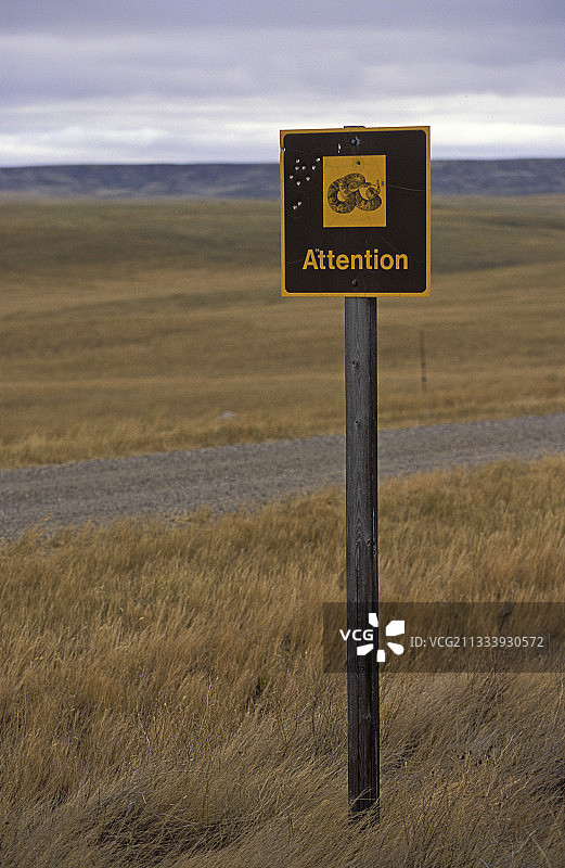 防止响尾蛇和弹痕的面板图片素材