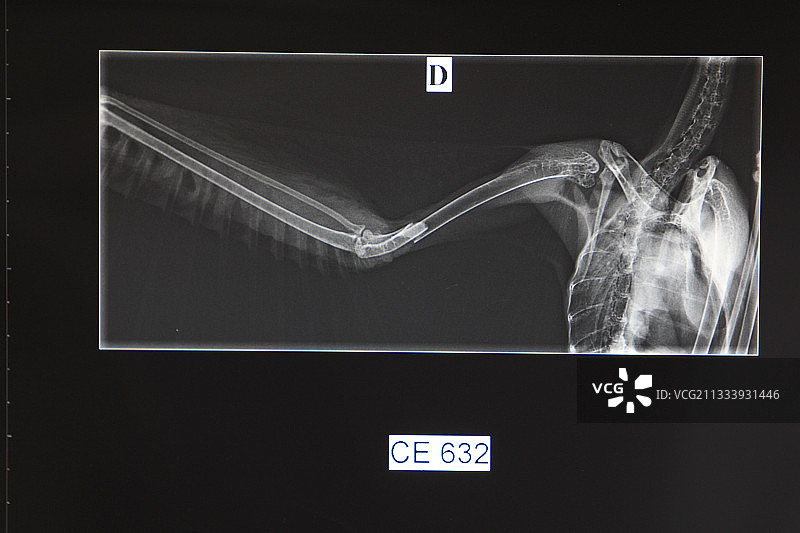 位置：南特诊所内图片素材