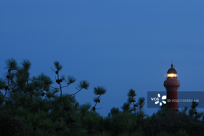 地点：阿尔韦半岛的库布雷森林图片素材