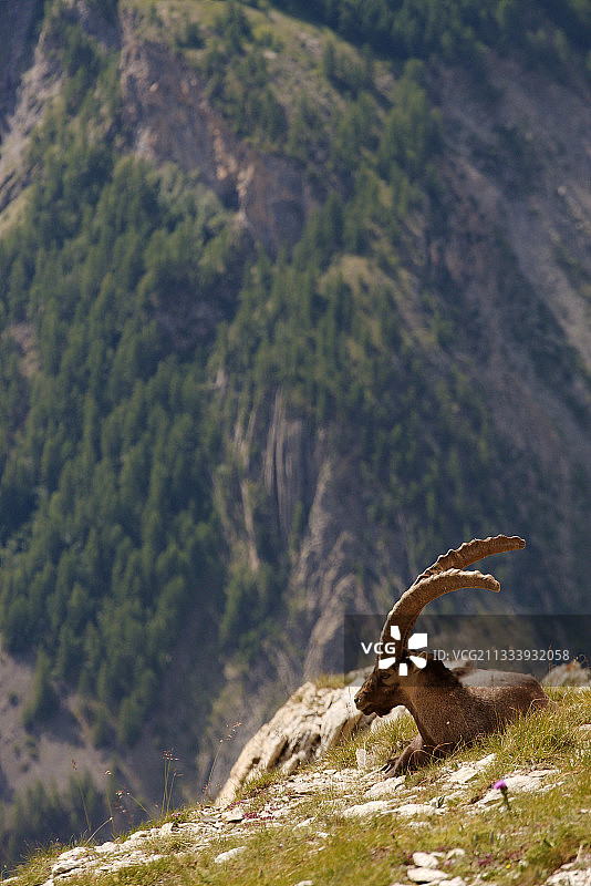 昂沙斯特赖耶于拜图片素材
