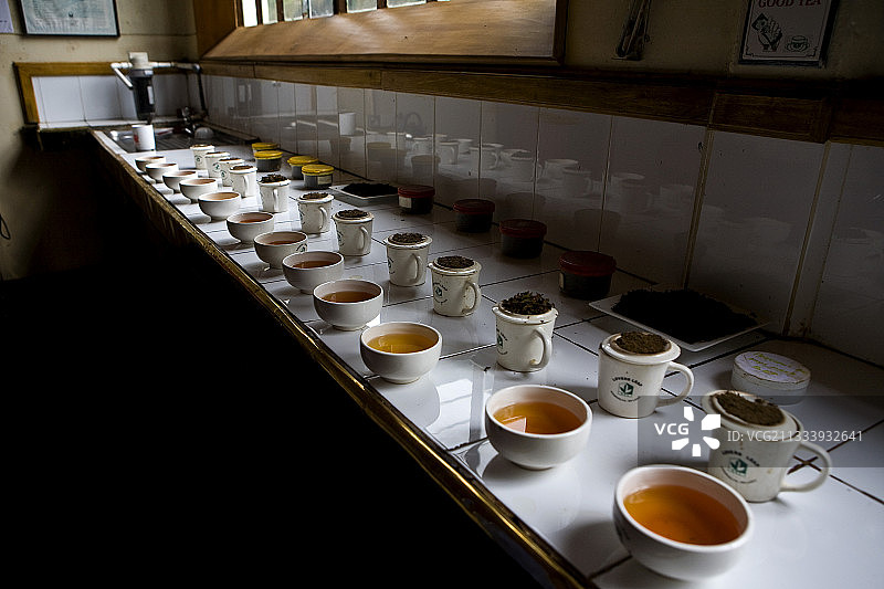 斯里兰卡专业品茶师的品茶体验图片素材