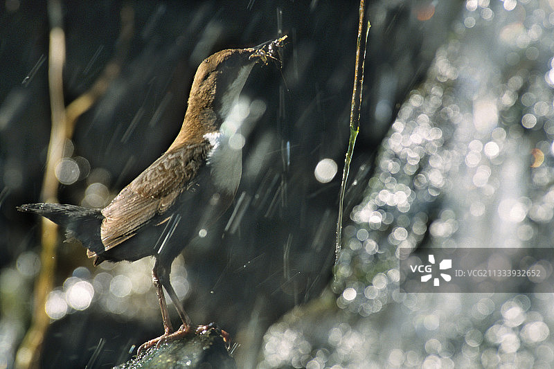 多勒山谷位置图片素材
