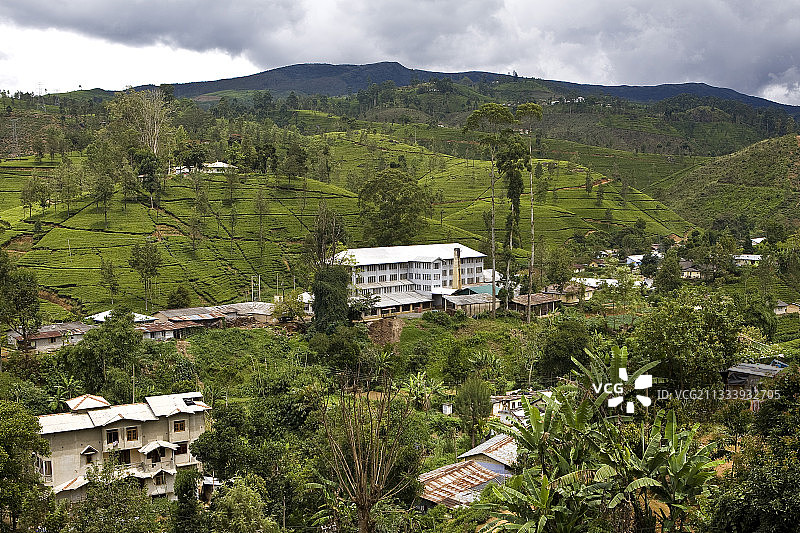 斯里兰卡茶园中的村庄图片素材