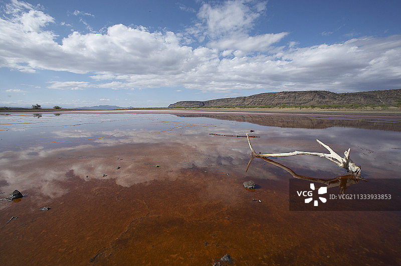 因古菌而呈现粉色的肯尼亚马加迪湖图片素材