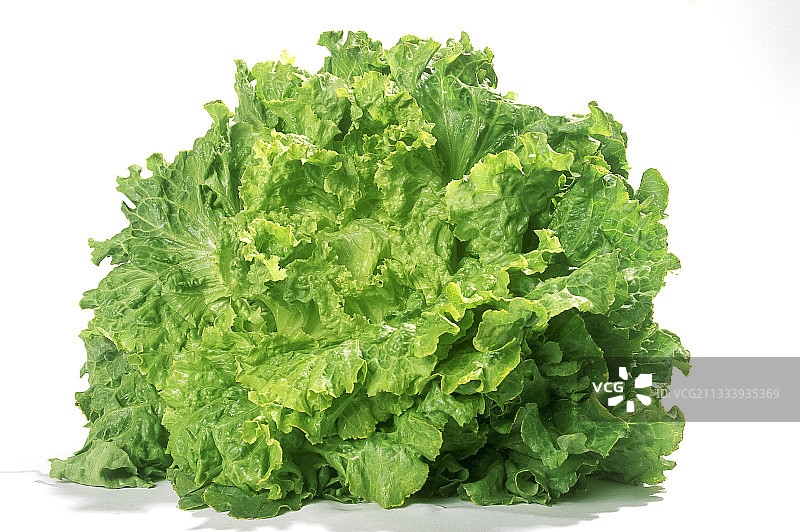 菊苣沙拉图片素材