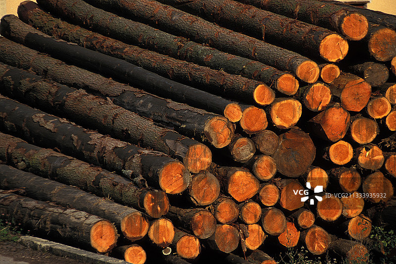 法国博若莱锯木厂的软木原木堆图片素材