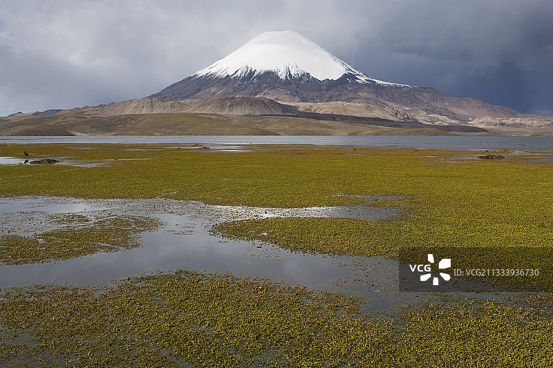 劳卡国家公园Chungara湖与帕瑞纳科塔火山图片素材