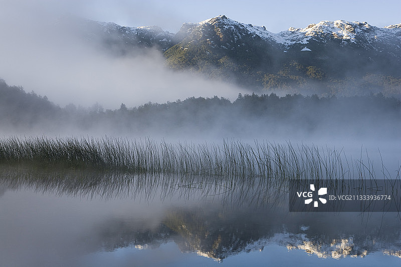 清晨雾中的纳韦尔瓦皮国家公园小湖图片素材