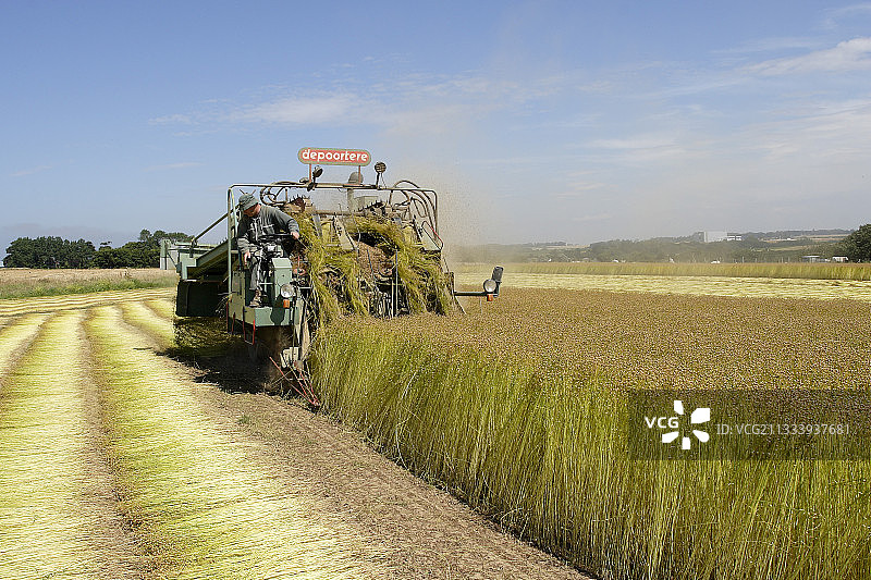 使用易拉宝收割亚麻，法国诺曼底图片素材