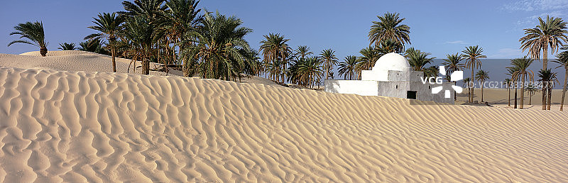 突尼斯杜兹地区棕榈树丛中的陵墓图片素材