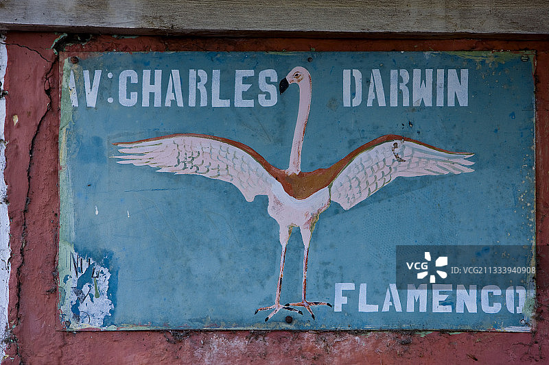 加拉帕戈斯群岛查尔斯·达尔文大街路牌图片素材