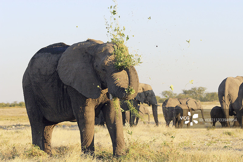 雨季结束时图片素材