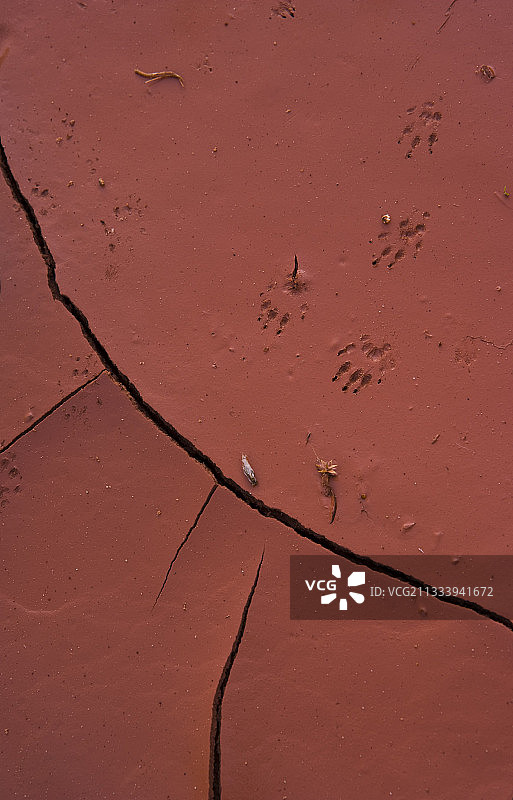 美国亚利桑那州红土上的脚印图片素材