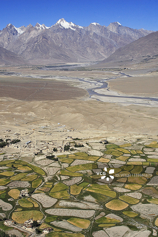 印度赞斯卡山谷的混合农业图片素材