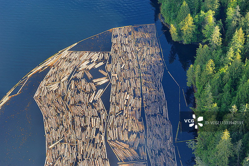 不列颠哥伦比亚省公园里漂浮的原木图片素材