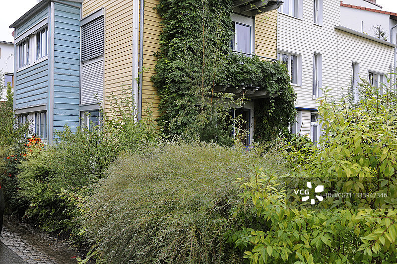 低矮的栖息地图片素材