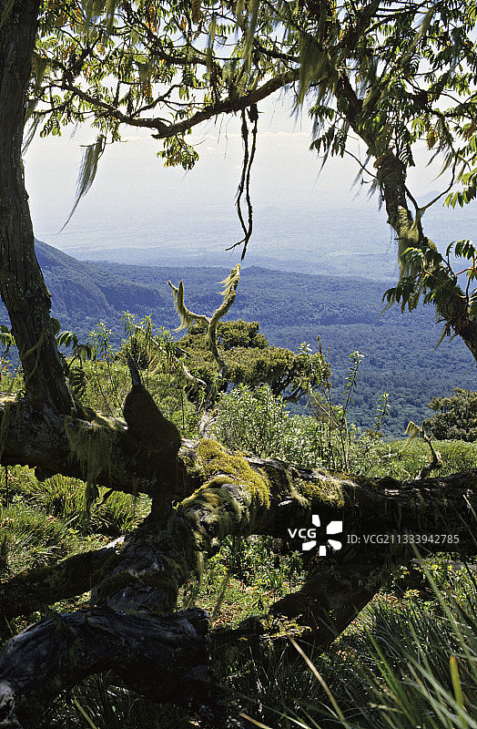 海拔2000至2700米之间图片素材