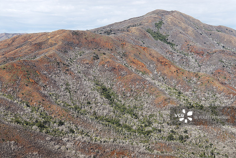 火灾两年后，土壤被雨水淋滤图片素材
