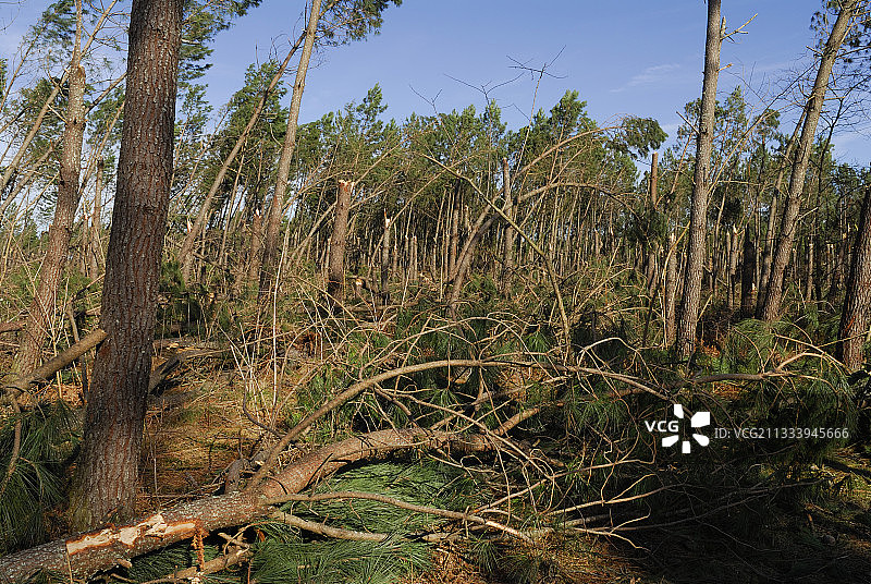风暴后的几天图片素材