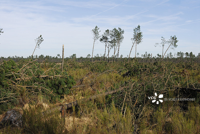风暴后的几天图片素材