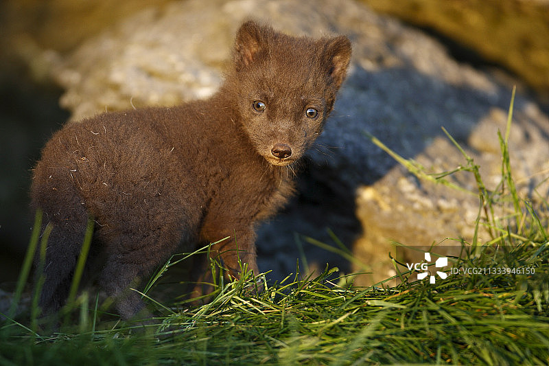 首次郊游一周后图片素材