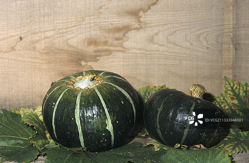 奶油瓜图片素材