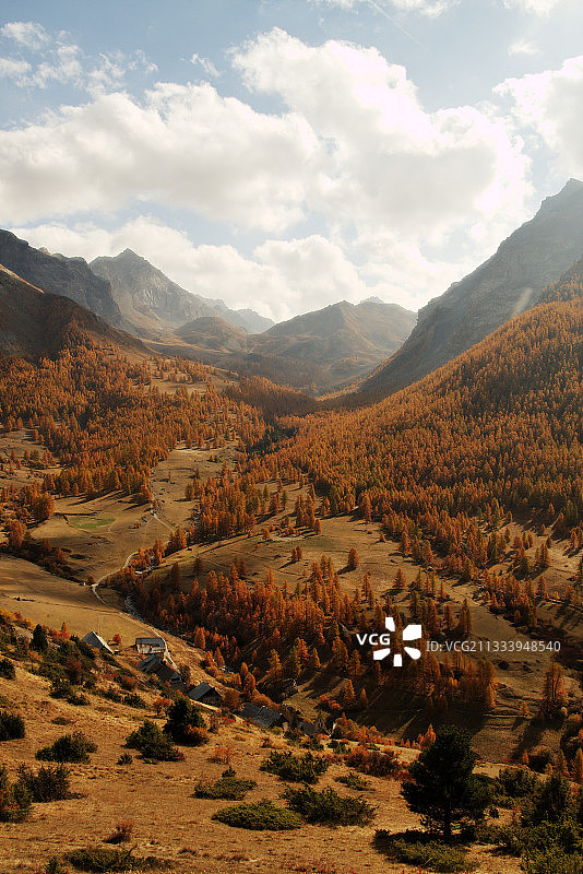 上于拜耶的落叶松和杜松富尤斯山谷图片素材