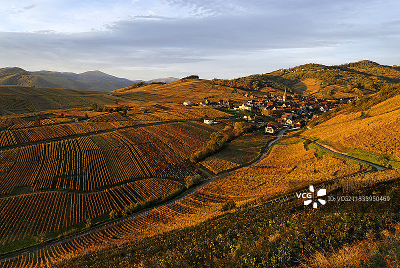 葡萄园和尼德莫尔施维尔的日出图片素材