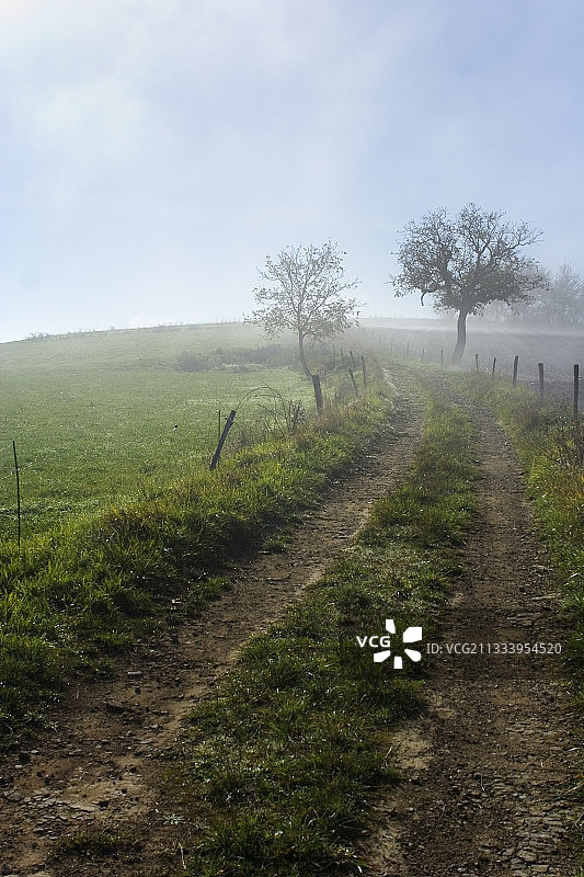 通往法国屈雷蒙特山坡晨雾的路图片素材