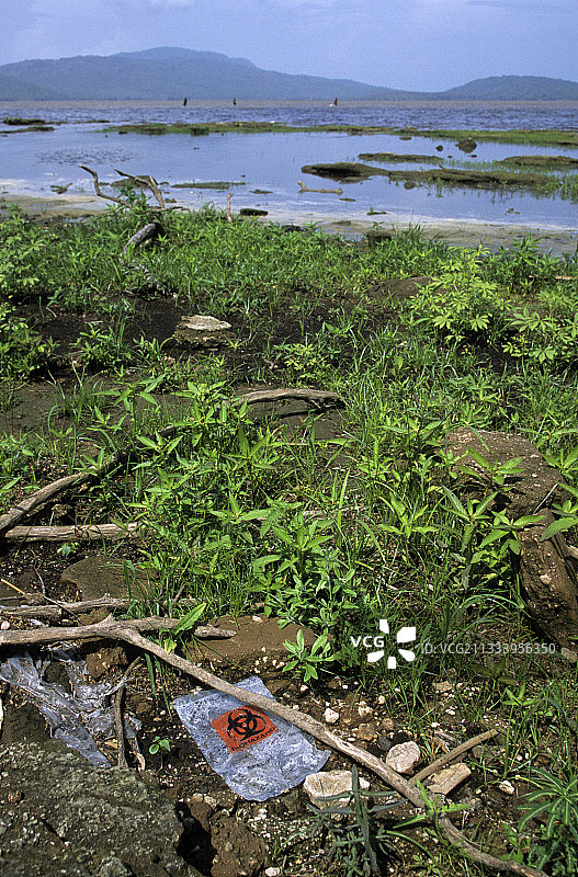尼加拉瓜湖附近自然环境中的生物危害塑料袋图片素材