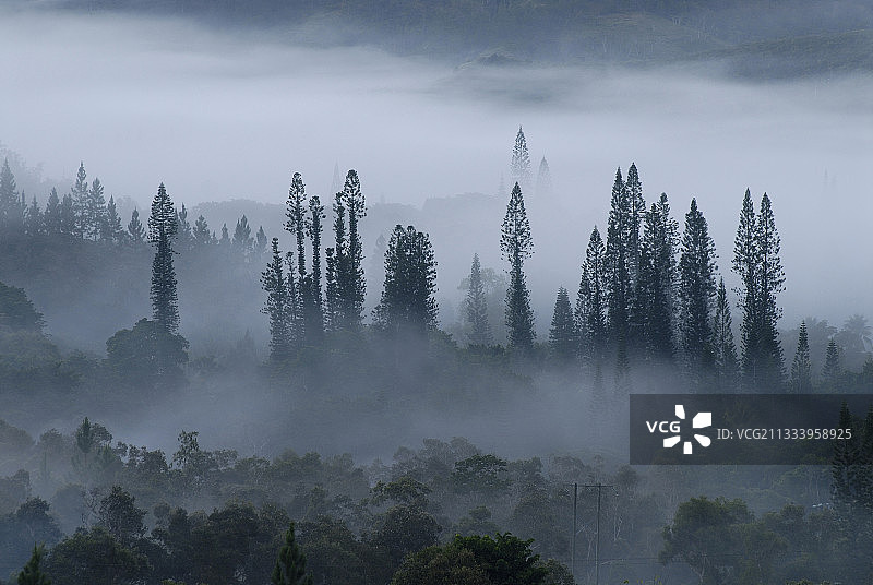 戈哈平部落的领地图片素材
