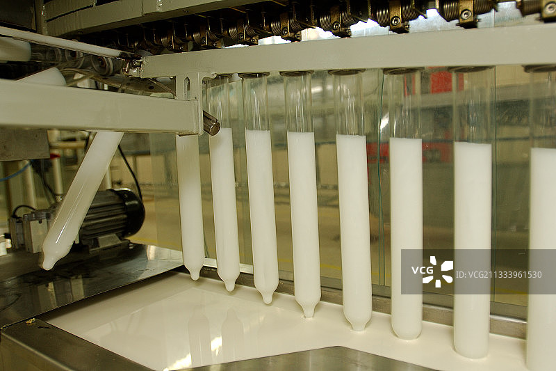 橡胶树采集天然乳胶图片素材