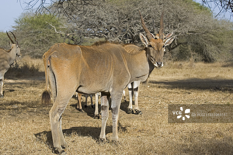 一群青少年图片素材