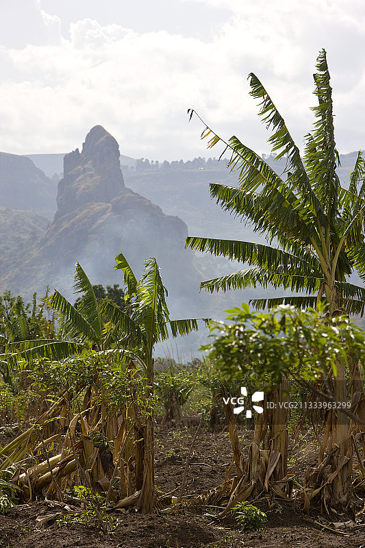 巴梅辛格喀麦隆农业平原图片素材
