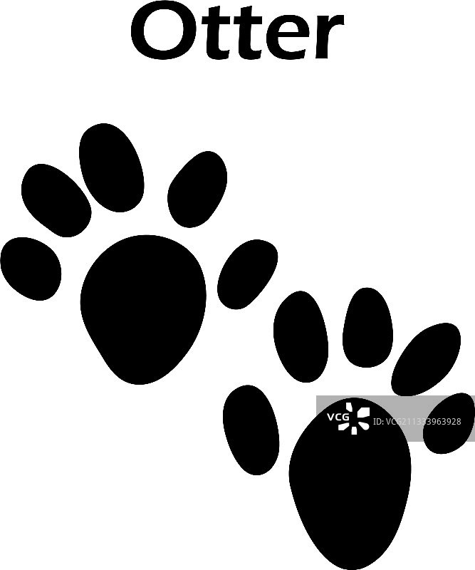水獭脚印图片素材