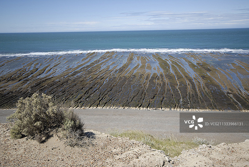 阿根廷巴塔哥尼亚瓦尔德斯半岛大西洋图片素材
