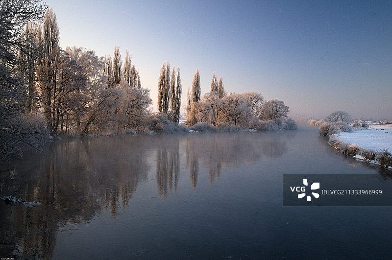 巴伐利亚雷格尼茨河雾中河岸林图片素材