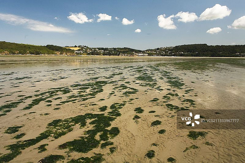 2009年布列塔尼绿潮图片素材