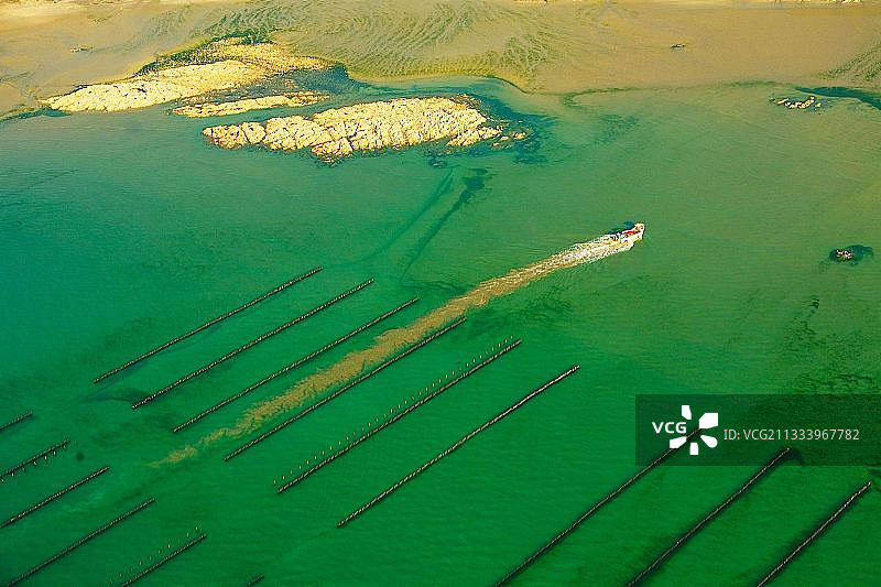 2009年布列塔尼绿潮图片素材