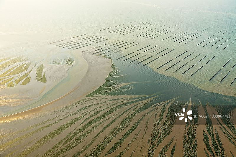 2009年布列塔尼绿潮图片素材