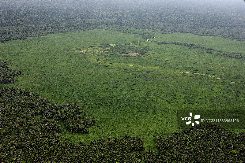 哥斯达黎加科尔科瓦多国家公园航拍。图片素材