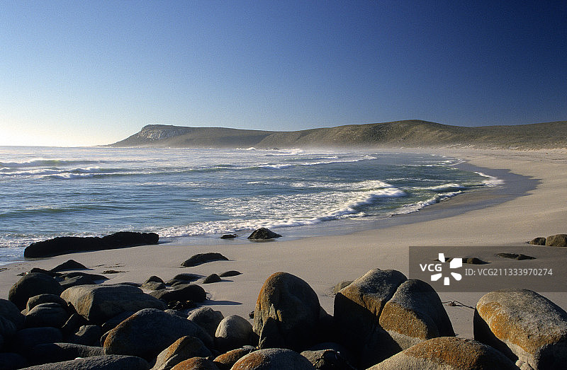 南非西海岸沙滩国家公园图片素材