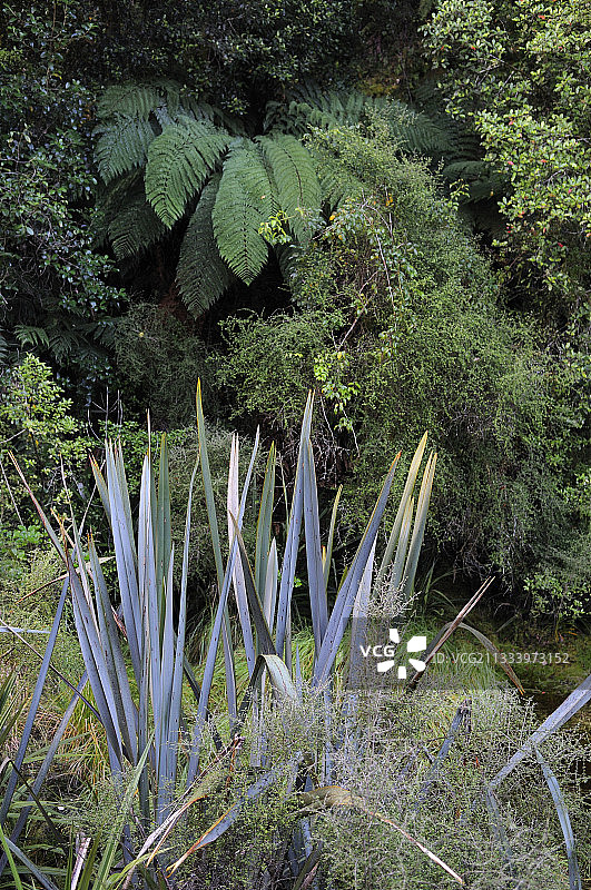 马瑟森湖，新西兰南岛图片素材