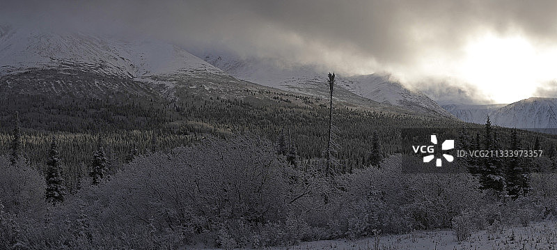 阿拉斯加塔尔基特纳公路沿线的苔原图片素材